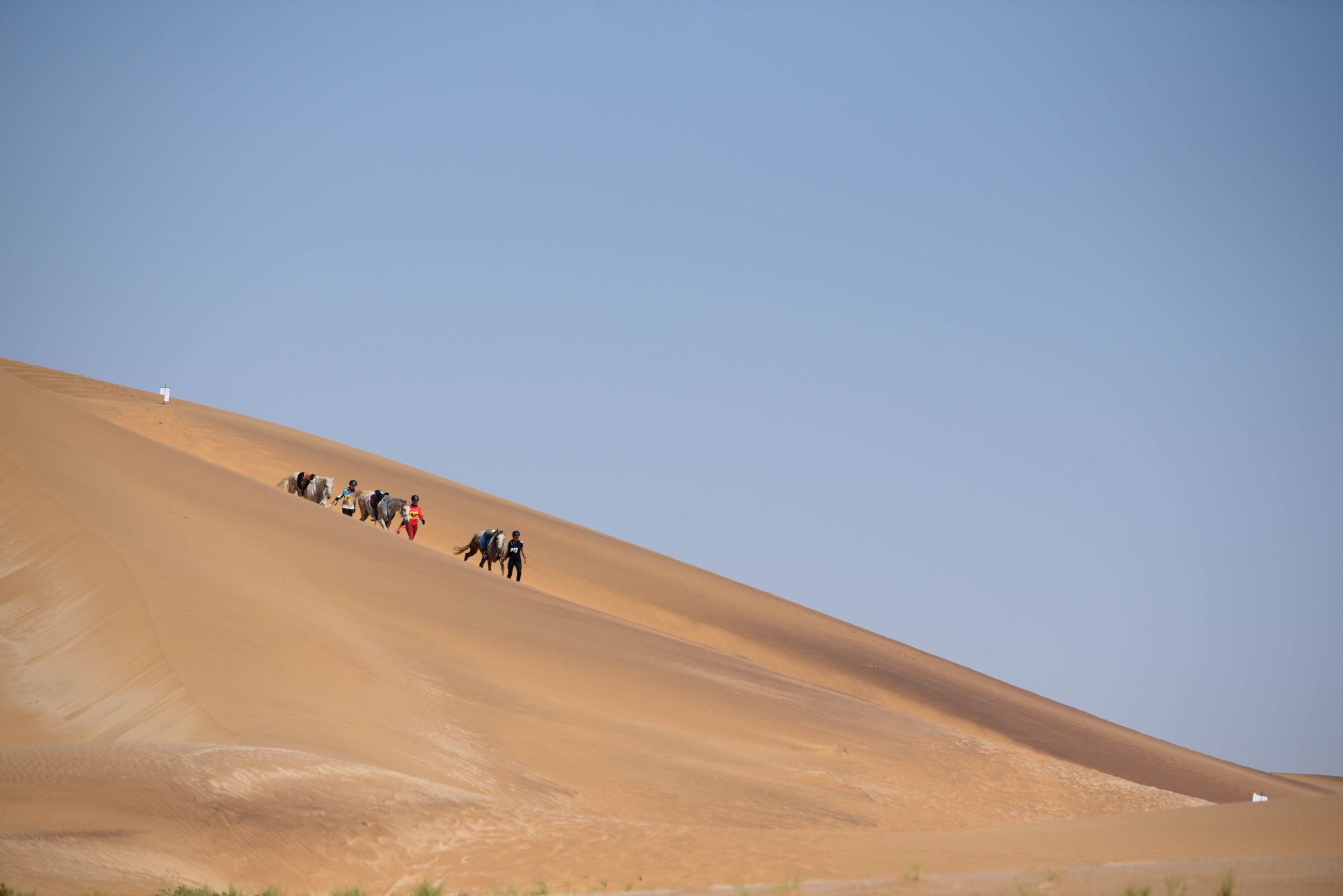 Highlights (193 of 231)_resized.jpg